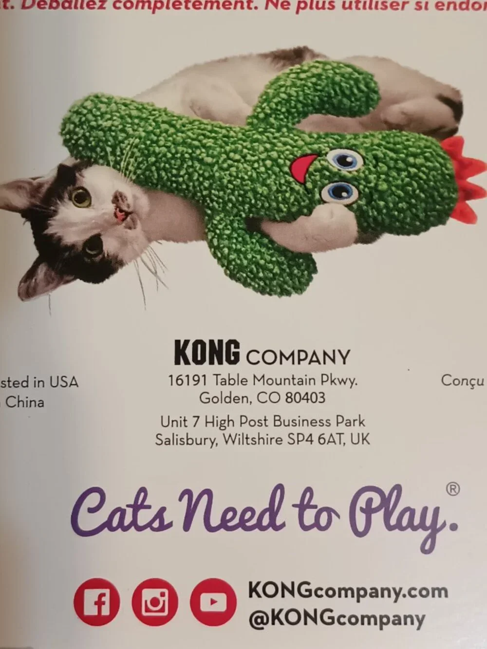 NWT ~ KONG's Kickeroo Oversized Cactus Cat Toy with Catnip & Crinkle